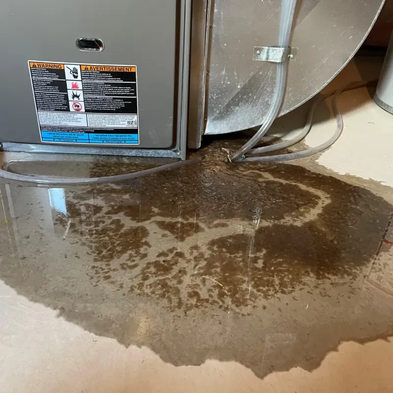 Appliance Leak Cleanup in Ronceverte, WV