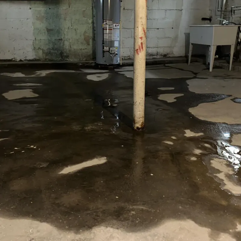 Emergency Water Extraction And Removal in Ronceverte, WV